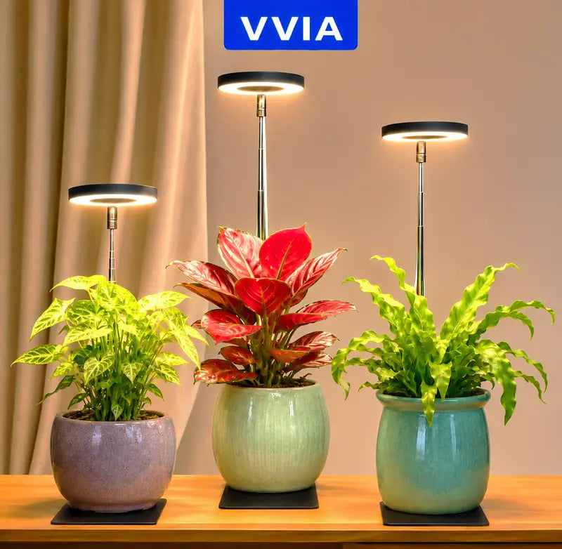 Plants Rapid Grow Light