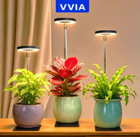 Plants Rapid Grow Light