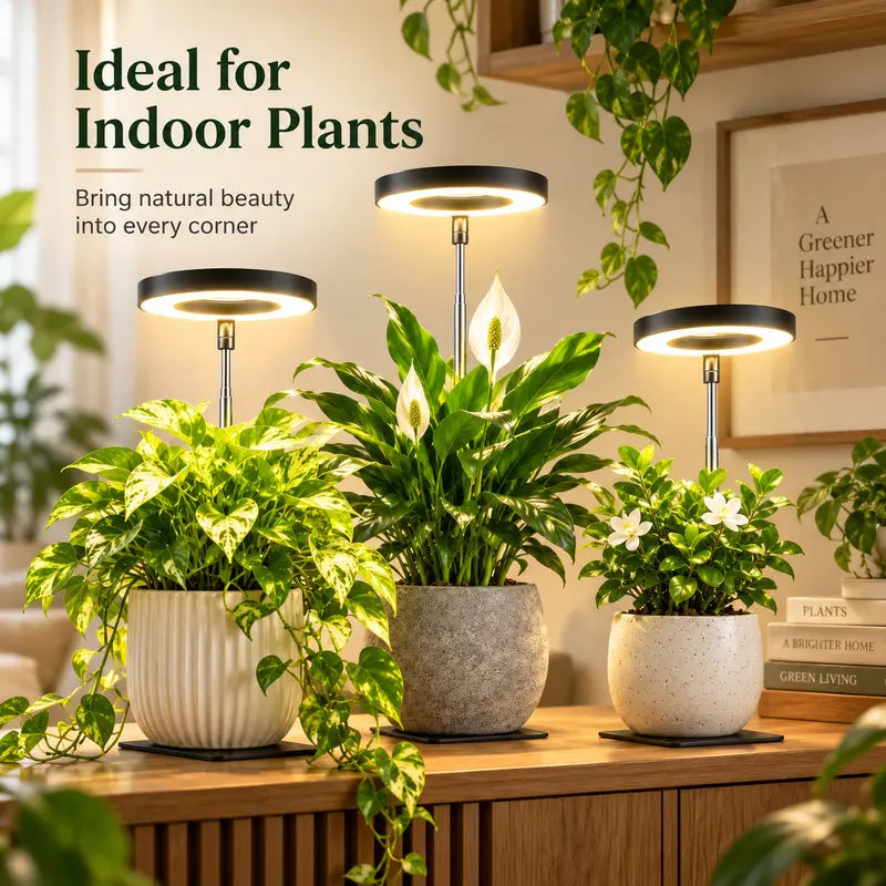 Plants Rapid Grow Light