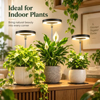 Plants Rapid Grow Light